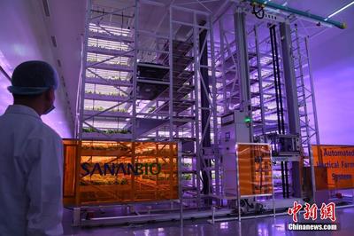 走進(jìn)智能植物工廠 無土無陽光如何借數(shù)據(jù)處理培育美味佳肴