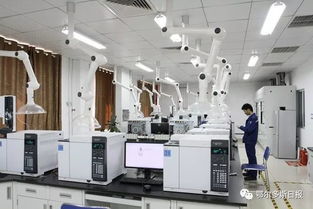 一季度鄂爾多斯經濟運行總體平穩向好，計算機系統集成產業展現活力