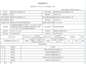 嵩明縣污水處理廠廠網(wǎng)一體化PPP項目招標代理機構(gòu)中標結(jié)果公示 代辦簽證服務(wù)信息說明